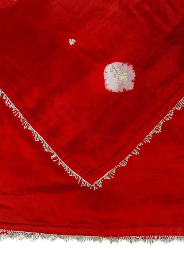 1 PIECE SAREE WITH READYMADE BLOUSE - Image 2