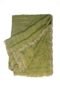 1 PIECE SAREE WITH BLOUSE [PC]